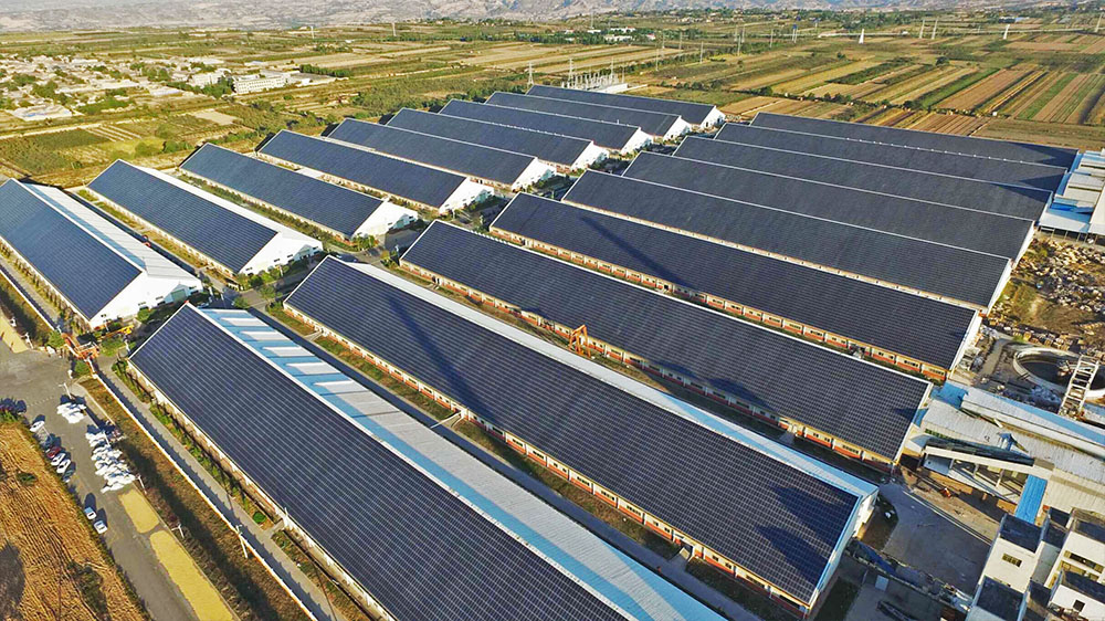 ��Ȧ(�й���)�������ǲ�!